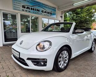 VW Beetle 