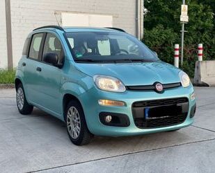 Fiat Panda Gebrauchtwagen