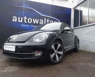VW Beetle Gebrauchtwagen