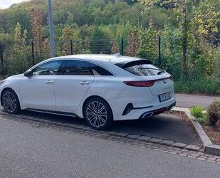 Kia pro ceed / ProCeed Gebrauchtwagen