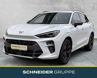 Cupra Terramar Gebrauchtwagen