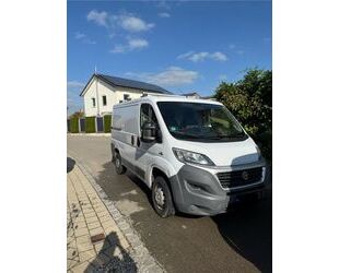 Fiat Ducato Gebrauchtwagen