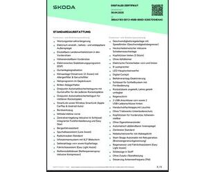 Skoda Kamiq Gebrauchtwagen