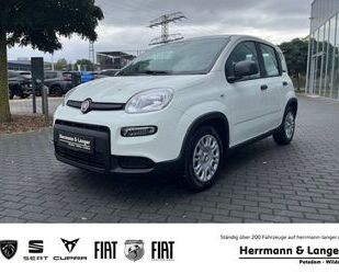 Fiat Panda Gebrauchtwagen