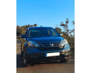 Honda CR-V Gebrauchtwagen