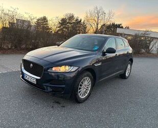 Jaguar F-Pace Gebrauchtwagen