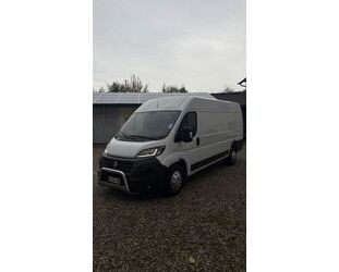 Fiat Ducato Gebrauchtwagen