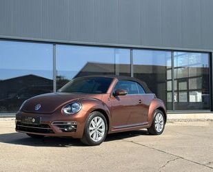 VW Beetle Gebrauchtwagen