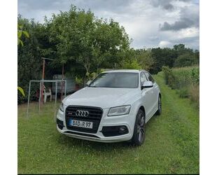 Audi SQ5 Gebrauchtwagen