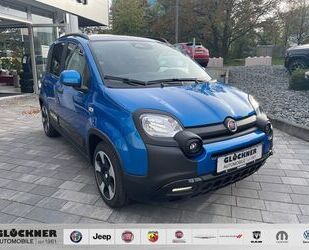 Fiat Panda Gebrauchtwagen