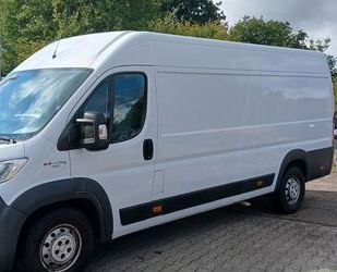 Fiat Ducato Gebrauchtwagen
