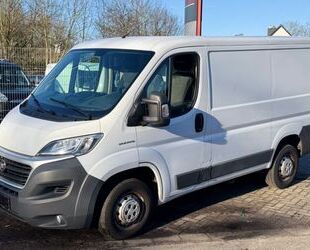 Fiat Ducato Gebrauchtwagen