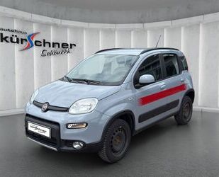 Fiat Panda Gebrauchtwagen