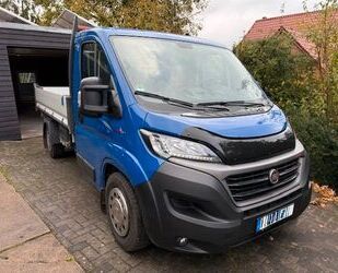 Fiat Ducato Gebrauchtwagen