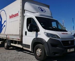 Fiat Ducato Gebrauchtwagen