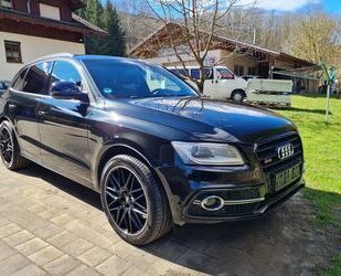 Audi SQ5 Gebrauchtwagen