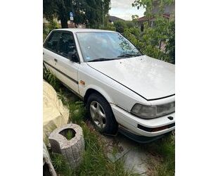 Toyota Camry Gebrauchtwagen