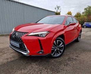 Lexus UX Gebrauchtwagen