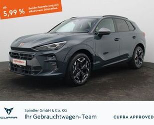 Cupra Terramar Gebrauchtwagen