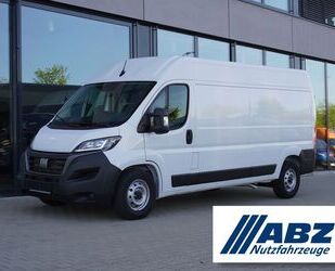 Fiat Ducato Gebrauchtwagen