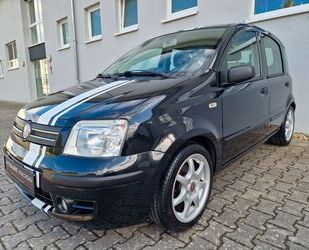 Fiat Panda Gebrauchtwagen