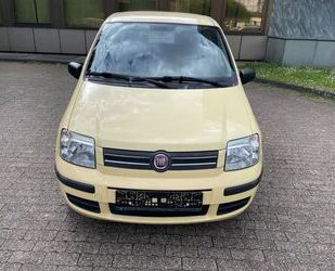 Fiat Panda Gebrauchtwagen
