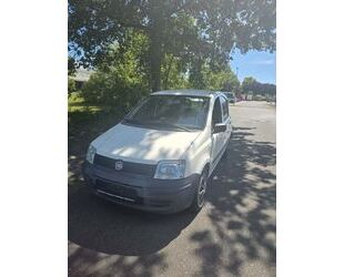 Fiat Panda Gebrauchtwagen