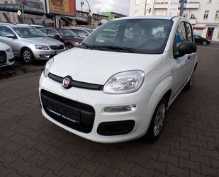 Fiat Panda Gebrauchtwagen