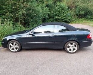 Mercedes-Benz CLK 500 Gebrauchtwagen