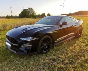Ford Mustang Gebrauchtwagen