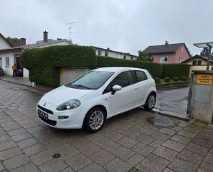 Fiat Punto Gebrauchtwagen