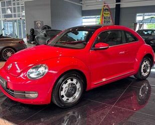 VW Beetle Gebrauchtwagen