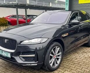 Jaguar F-Pace Gebrauchtwagen
