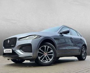 Jaguar F-Pace Gebrauchtwagen