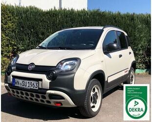 Fiat Panda Gebrauchtwagen