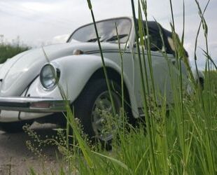 VW Käfer Gebrauchtwagen