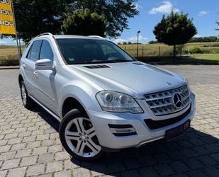 Mercedes-Benz ML 350 Gebrauchtwagen