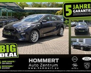 Kia ceed / Ceed Gebrauchtwagen