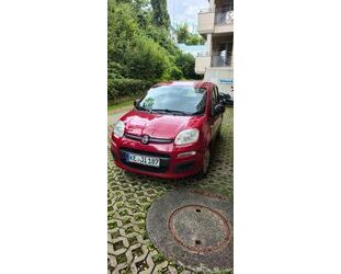 Fiat New Panda Gebrauchtwagen