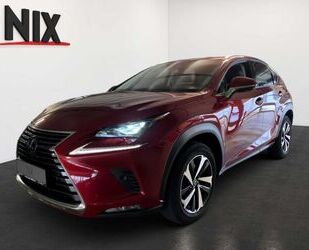 Lexus NX 300 Gebrauchtwagen