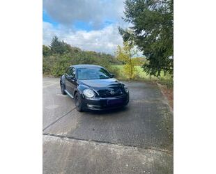 VW Beetle Gebrauchtwagen