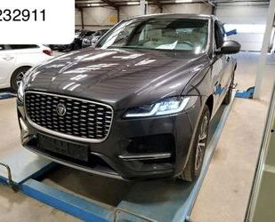 Jaguar F-Pace Gebrauchtwagen