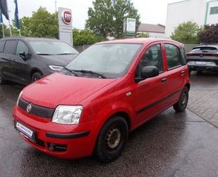 Fiat Panda Gebrauchtwagen