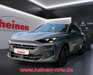 Cupra Terramar Gebrauchtwagen