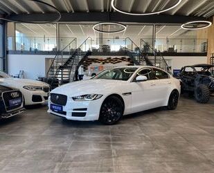Jaguar XE Gebrauchtwagen