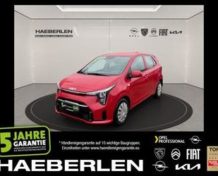 Kia Picanto Gebrauchtwagen