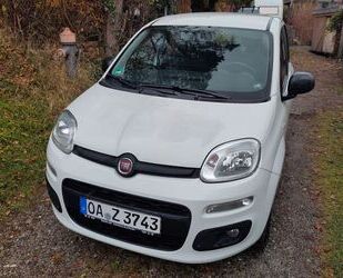 Fiat Panda Gebrauchtwagen