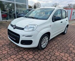 Fiat Panda Gebrauchtwagen