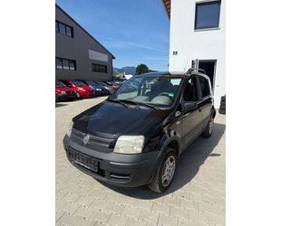 Fiat Panda Gebrauchtwagen