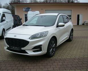 Ford Kuga Gebrauchtwagen